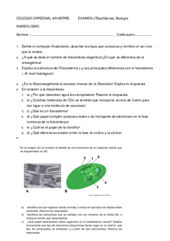 EX-7.pdf