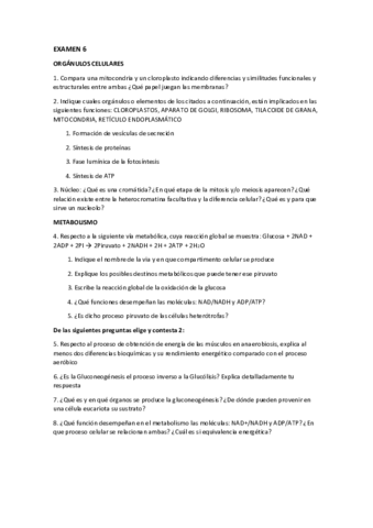 EX-6-pdf.pdf