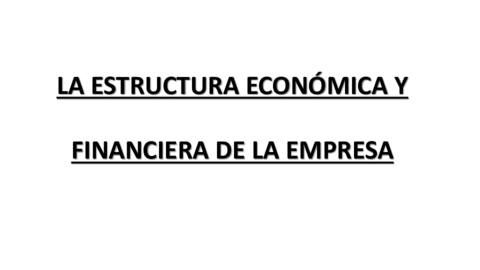 ESTRUCTURA-ECONOMICA-Y-FINANCIERA-DE-LA-EMPRESA.pdf