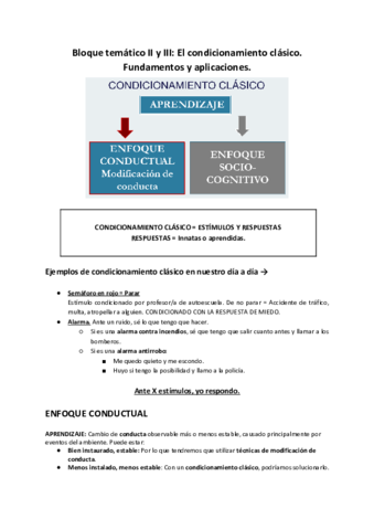 Temario-Psicologia-del-Aprendizaje.pdf