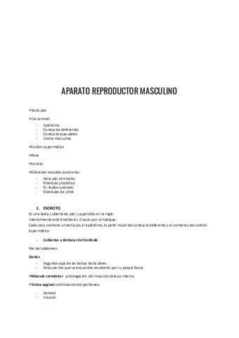 Aparato-reproductor-masculino.pdf