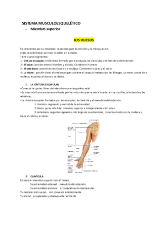 Miembro-superior.pdf