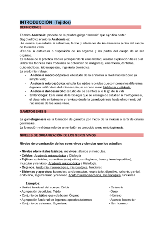 Introduccion.pdf
