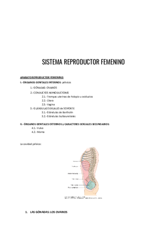 Sistema-reproductor-femenino.pdf
