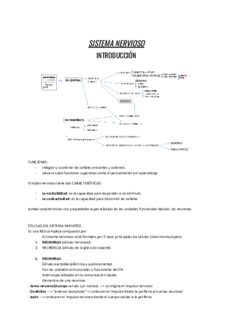 SN-Introduccion-meninges-y-LCR.pdf