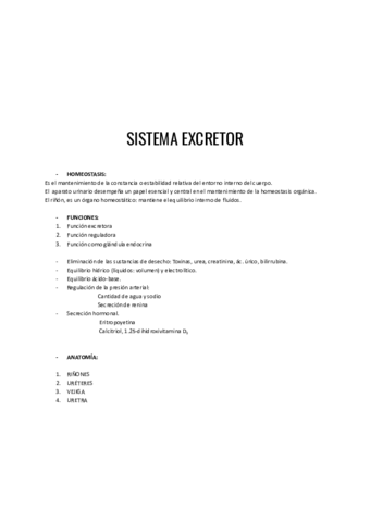 Sistema-excretor.pdf