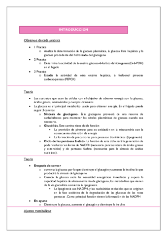 PRACTICAS-.pdf