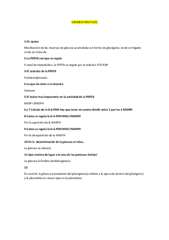 EXAMEN-PRACTICAS.pdf