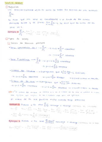 TEMA-10-SERIES.pdf