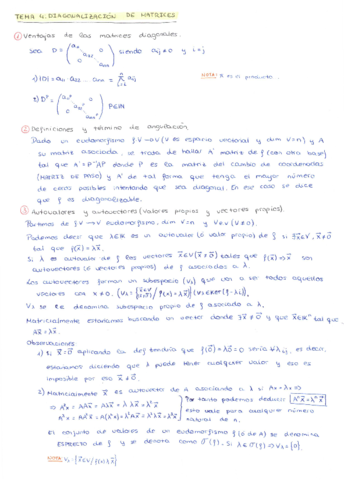TEMA-4-DIAGONALIZACION-DE-MATRICES.pdf