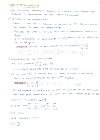 TEMA-2-DETERMINANTES.pdf