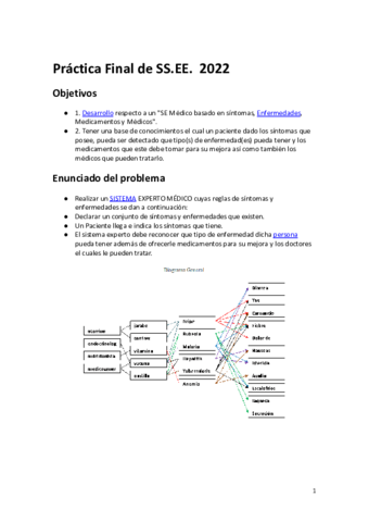 Practica-FinalIA.pdf