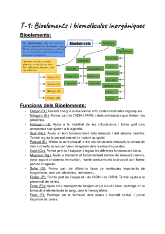 Apunts-Biomolecules-Cat.pdf
