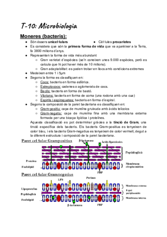 Apunts-Micro-i-ImmunologiaCat.pdf