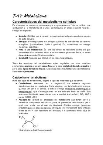 Apunts-Metabolisme-Cat.pdf