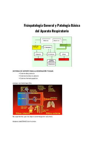 Fisiopatologia-General-y-Patologia-Basica-del-Aparato-Respiratorio.pdf