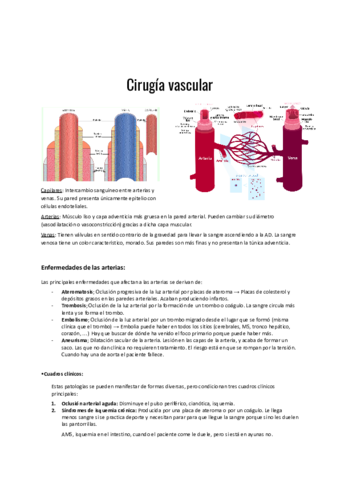 Cirugia-vascular.pdf