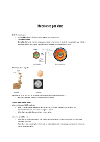 Infecciones-por-virus.pdf