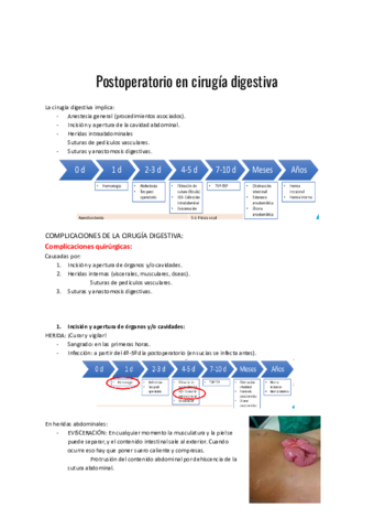 Postoperatorio-en-cirugia-digestiva.pdf