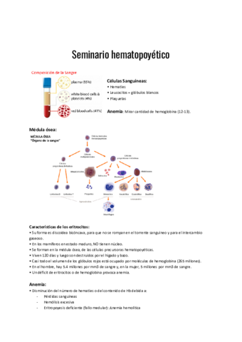 Seminario-hematopoyetico.pdf