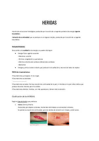 Heridas.pdf
