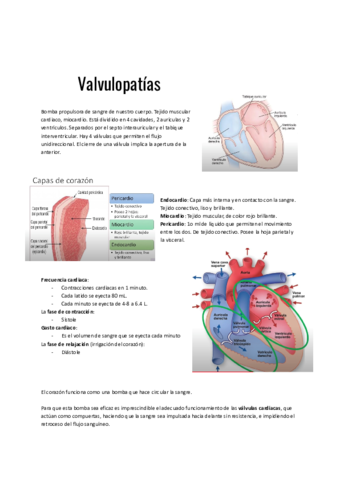Valvulopatias.pdf