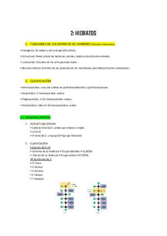 Hidratos.pdf