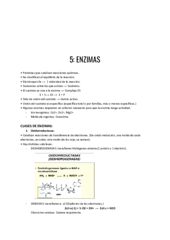 Enzimas.pdf