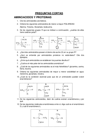 Preguntas-1er-parcial.pdf