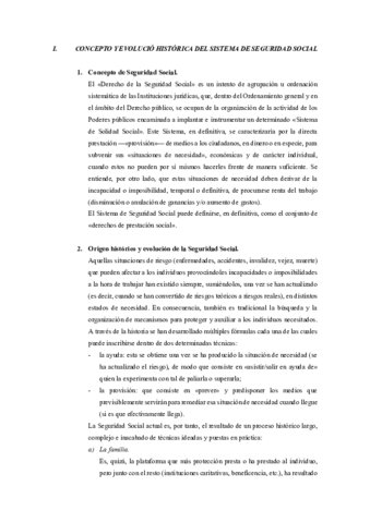 APUNTES-SS.pdf