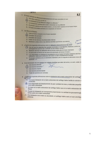 Examen-2-histologia-.pdf