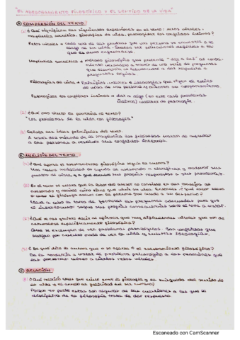 Asesoramiento Filosófico