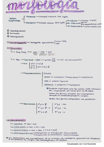 Morfologia-y-Sintaxis.pdf