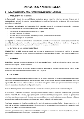 ResumenIMPACTOSAMBIENTALES.pdf