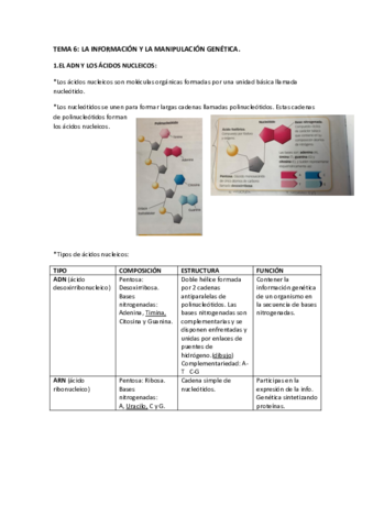 TEMA-6-LA-INFORMACION-Y-LA-MANIPULACION-GENETICA.pdf
