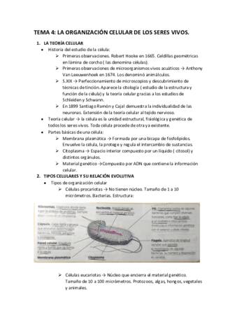 TEMA-4-LA-ORGANIZACION-CELULAR-DE-LOS-SERES-VIVOS.pdf