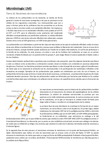 Apuntes-Segundo-Parcial-MI.pdf