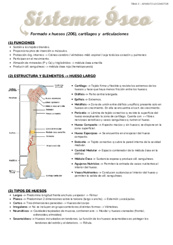 Anato-Apto-Locomotor-.pdf