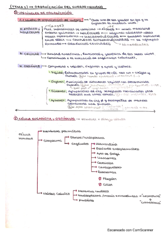 Tema-2-Celulas-y-tejidos.pdf