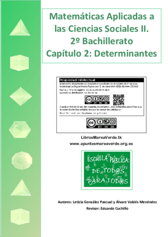 Apuntes-Selectividad-Determinantes.pdf