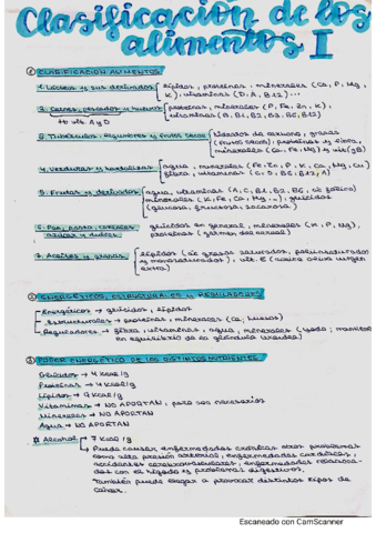 Trabajo-Alimentacion-y-nutricion.pdf
