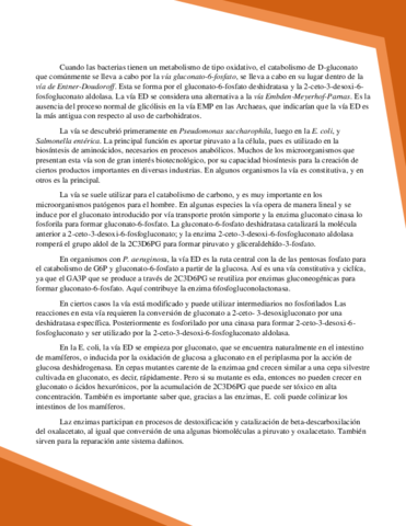Via-de-Entner-Doudoroff.pdf