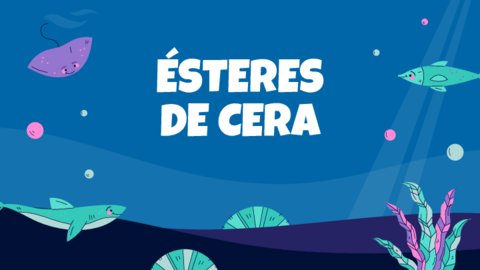 Esteres-de-ceras.pdf