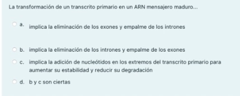 Primer-parcial-neuro-I-2021-2022.pdf