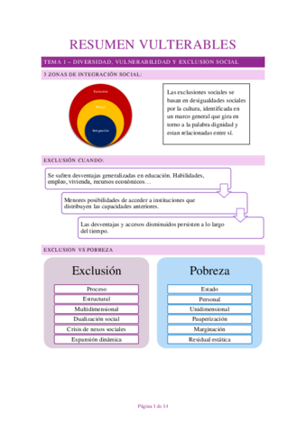 Resumen-Vulnerables.pdf