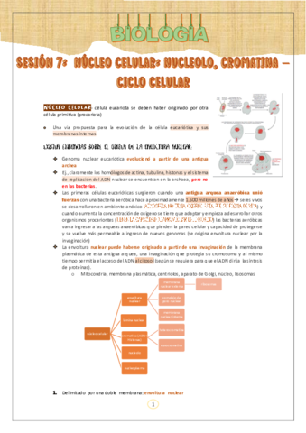 DEGRABADA-DE-BIOLOGIA.pdf