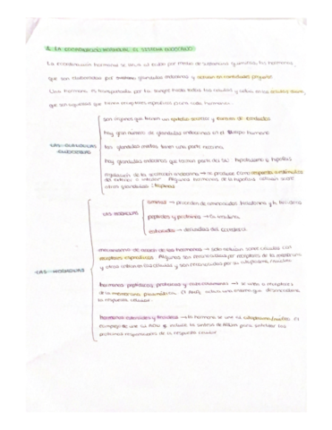 sistema-endocrino-y-reproductor.pdf