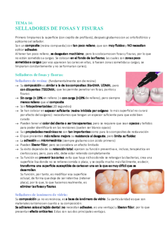 Tema-14-Selladores-de-fosas-y-fisuras.pdf
