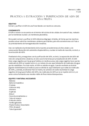 Practica01-Extraccion.pdf