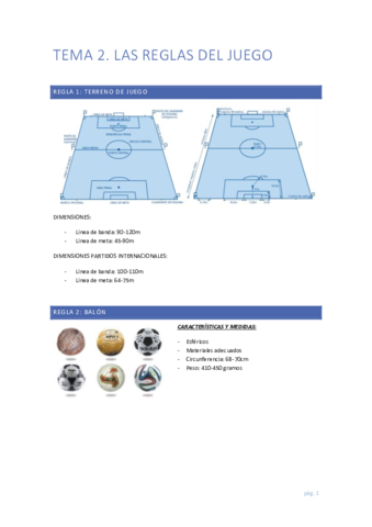 TEMA-2-FU.pdf